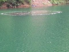 -祁门牯牛降观音堂风景区