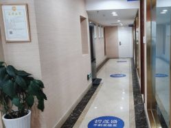 -碧莲盛·不剃发植发