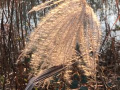 -木守西溪溪隐餐厅