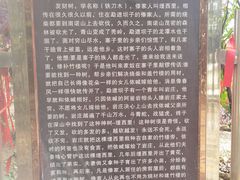 -独树成林