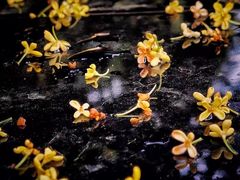 -上海置地广场(南京东路店)