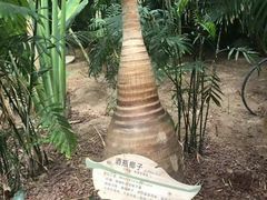 -龙达温泉生态城