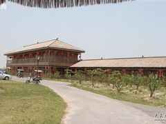 -上海都市菜园