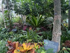 -北京植物园-展览温室