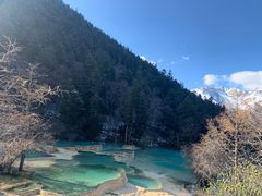 -黄龙山原始森林景区