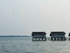 -同里国家湿地公园