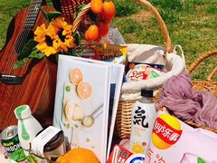 -羊亭河湿地公园