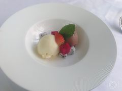 -蝶舍·MAISON PAPILLON