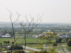 -上海佘山国家森林公园天马山园