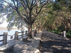 -大湾区中央湿地公园
