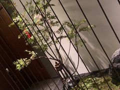 -固元堂(摩方分院)