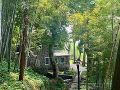 -莫干山风景区