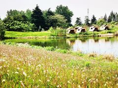 -太阳岛度假酒店