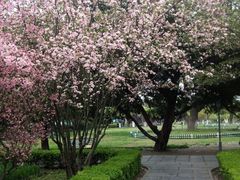 android_upload_pic-南通博物苑-崇川人民公园