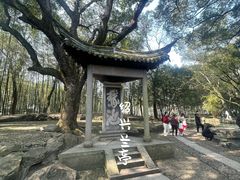 -兰亭风景区