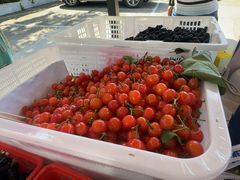 -桃源山庄·摘樱桃·柴火鸡·烧烤团建(龙泉山店)