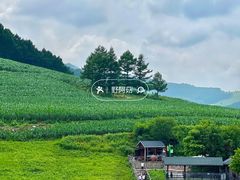 -本溪大峡谷