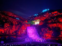 -印象普陀