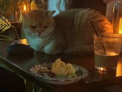 -咖法森林·咖啡  酒吧(天河店)