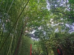 -竹泉村旅游度假区