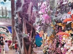 -正佳雨林生态植物园