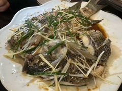 -草墩罗非鱼庄•野生菌•腊排骨(七星街上段店)