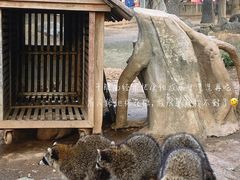 -灵玲国际马戏城