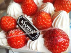 -卡萨米亚动物奶油生日蛋糕(牡丹城店)