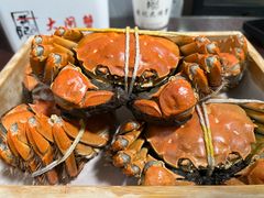 -黄记大闸蟹专卖店·活蟹·醉蟹