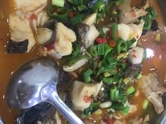 -全乐鱼馆·淳牌有机鱼直营店
