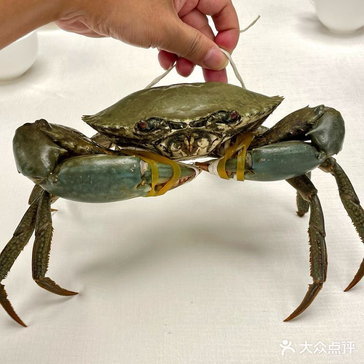 这顿真的太值了！鲜活的斯里兰卡青蟹吼吼吃