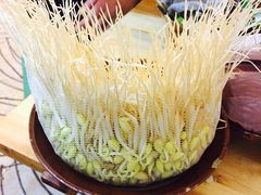 -独雅老火锅(原宏声巷店)