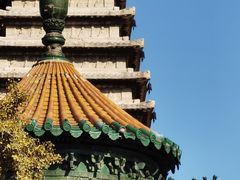 -北京石刻艺术博物馆(五塔寺)