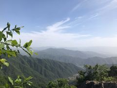 -王顺山国家森林公园