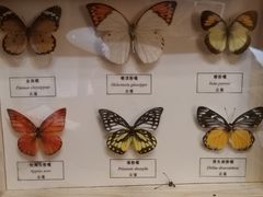 -zoonana室内动物园(东方福来德店)