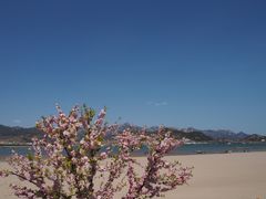 -青岛第一海水浴场