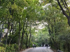 -岳麓山风景名胜区