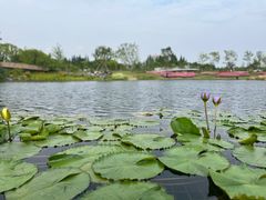 -上海植物园-4号门售票处
