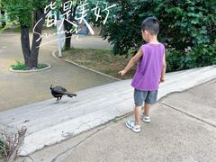 -二一九公园