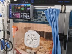 -喜多萌中农锦绣动物医院24H·猫科·牙科MRI·CT