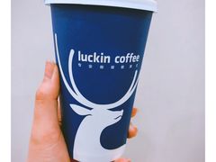 -瑞幸咖啡(艺树家工场店)