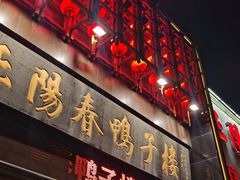 -正阳春鸭子楼(解放南路店)