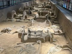 -洛阳周王城天子驾六博物馆