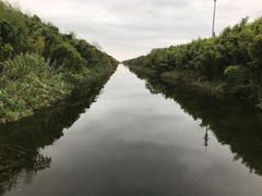 -黄海国家森林公园