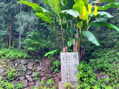 -江郎山风景名胜区
