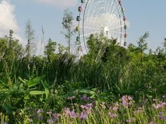 -洋湖国家湿地公园