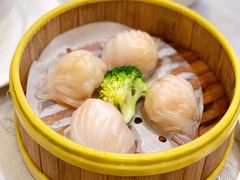 水晶鲜虾饺-香云轩·顺德菜(香云纱园林酒店店)
