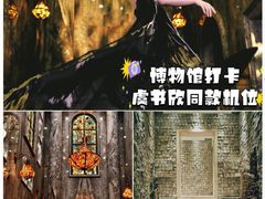 -奥加美术馆