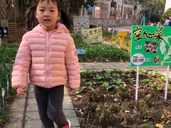 -南京市栖霞区亚东城幼儿园