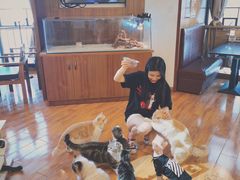 -喵园·猫主题咖啡厅·撸猫·猫咖(国贸店)